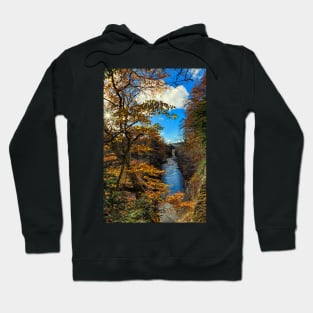 Autumnal High Force Hoodie